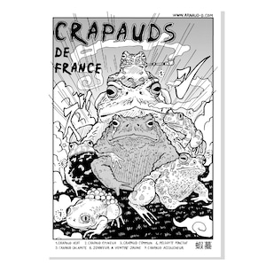 Nature poster: the toads of France,