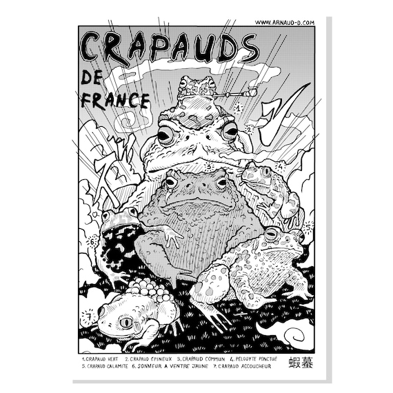 Affiche naturaliste: les crapauds de France,