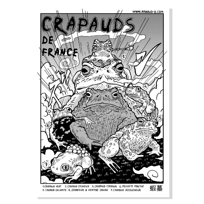 May include: A black and white illustration of seven different types of toads, with the text "CRAPAUDS DE FRANCE" at the top. The toads are labelled with their French names: "CRAPAUD VERT", "CRAPAUD &Eacute;PINEUX", "CRAPAUD COMMUN", "PELODYTE PONCTUE", "CRAPAUD CALAMITE", "SONNEUR A VENTRE JAUNE", and "CRAPAUD ACCOUCHEUR".