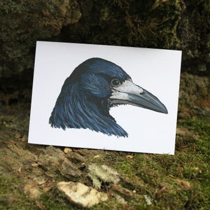 Carte postale corbeau freux portrait d'un oiseau noir au regard malicieux emblème rock aux plumes semblant un blouson de cuir