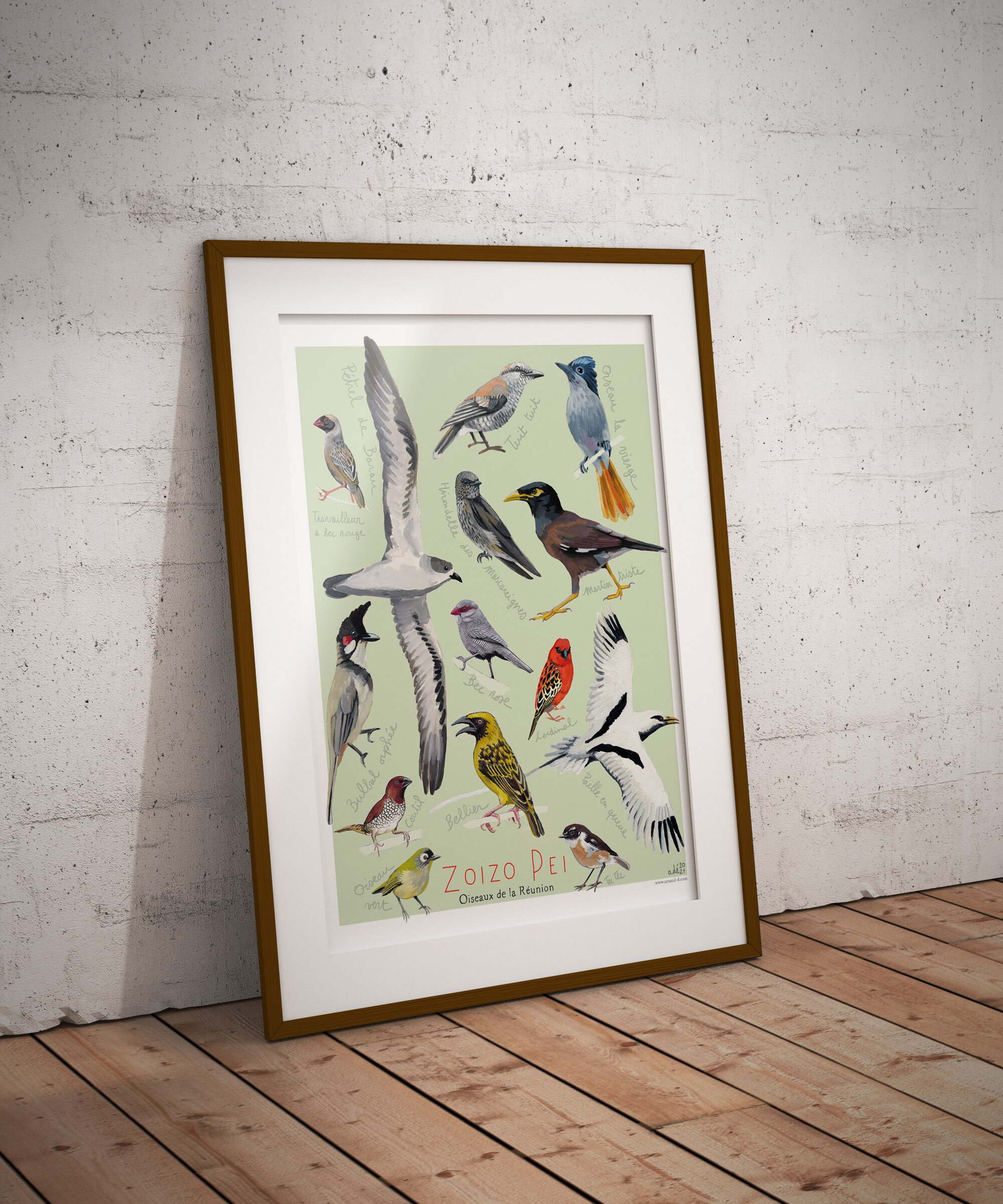 Affiche Des Oiseaux de La Réunion Collection d'oiseaux Colorés Pour Apprentissage Léger Zoizo Péi