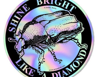 Holographic sticker of a golden rose chafer, a thousand reflections in the sky of your lives