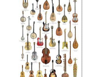 Guitar family poster, typology of string instruments