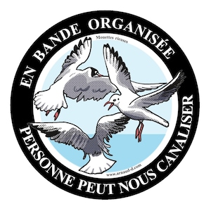 Sticker Autocollant 3 Mouettes rieuses en bande organisée