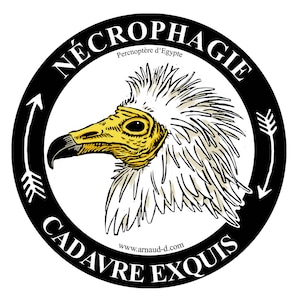 Sticker Autocollant Vautour Percnoptère d'Egypte Rapace fier et libre
