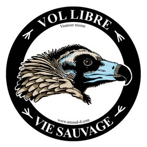 Sticker Autocollant Vautour moine Rapace fier et libre