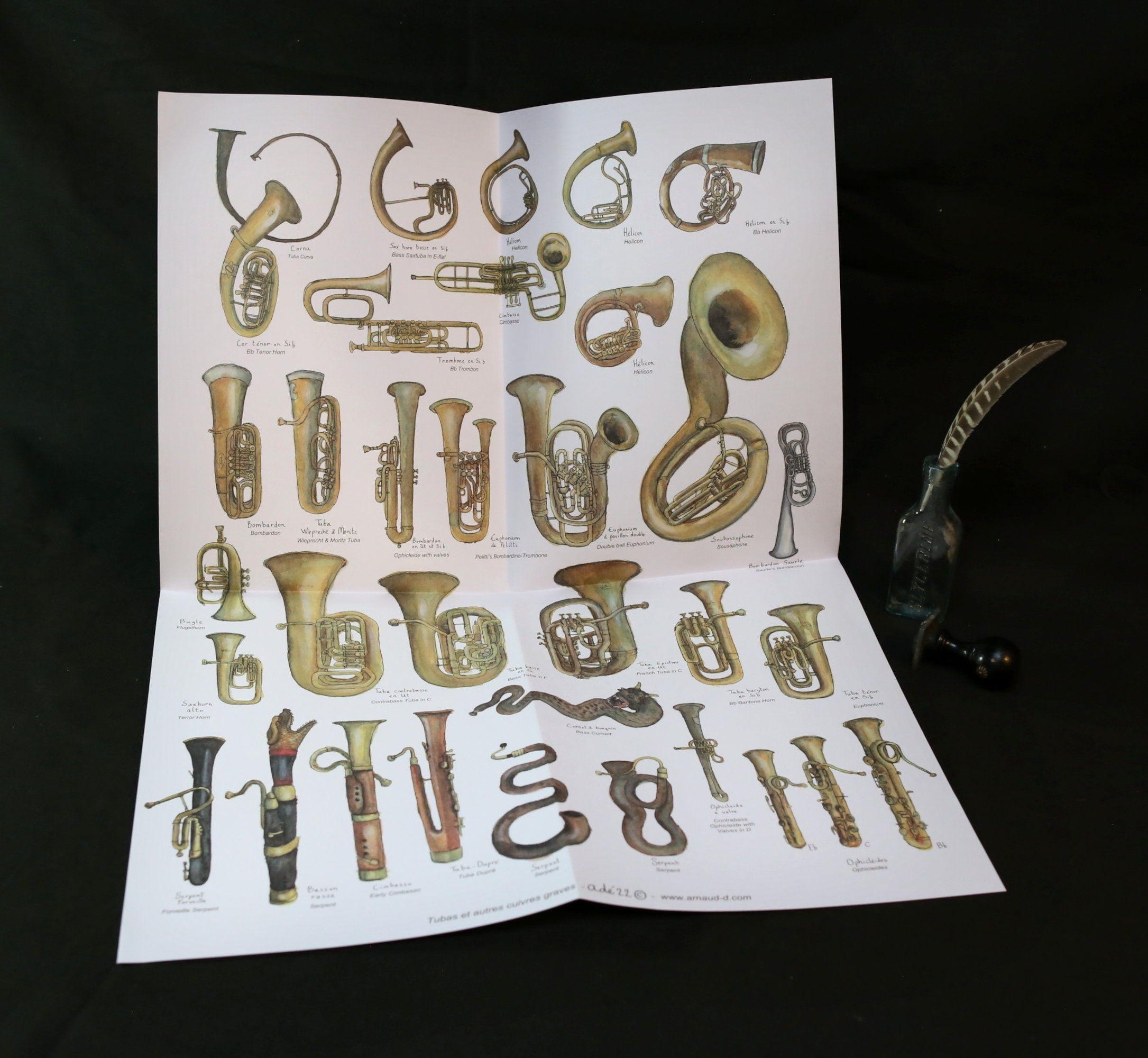 Poster Tuba and Other Low Brass Musical Instruments of the Tuba Family ...