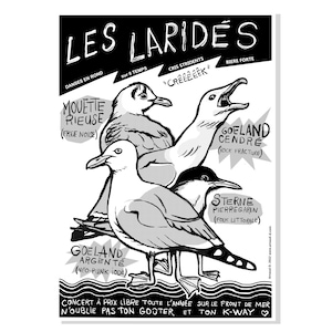 Peut inclure: Affiche en noir et blanc avec des illustrations de mouettes et du texte en français. Le titre de l'affiche est "LES LARIDES", avec des noms de groupes comme "MOUETTE RIEUSE" et "GOELAND CENDRE". L'affiche comprend également le texte "CONCERT À PRIX LIBRE TOUTE L'ANNÉE SUR LE FRONT DE MER."
