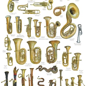 Poster Tuba and other serious brass instruments Musical instruments of the Tuba family for cabinet of curiosities