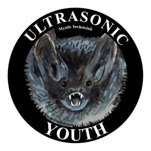 Naklejka na kij ULTRASONIC YOUTH