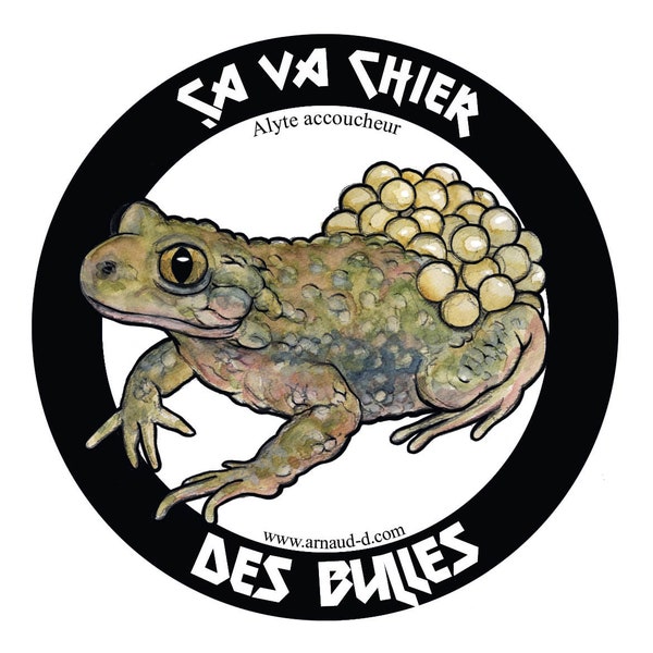 Sticker Autocollant Alyte Crapaud accoucheur porteur d'oeufs et de message