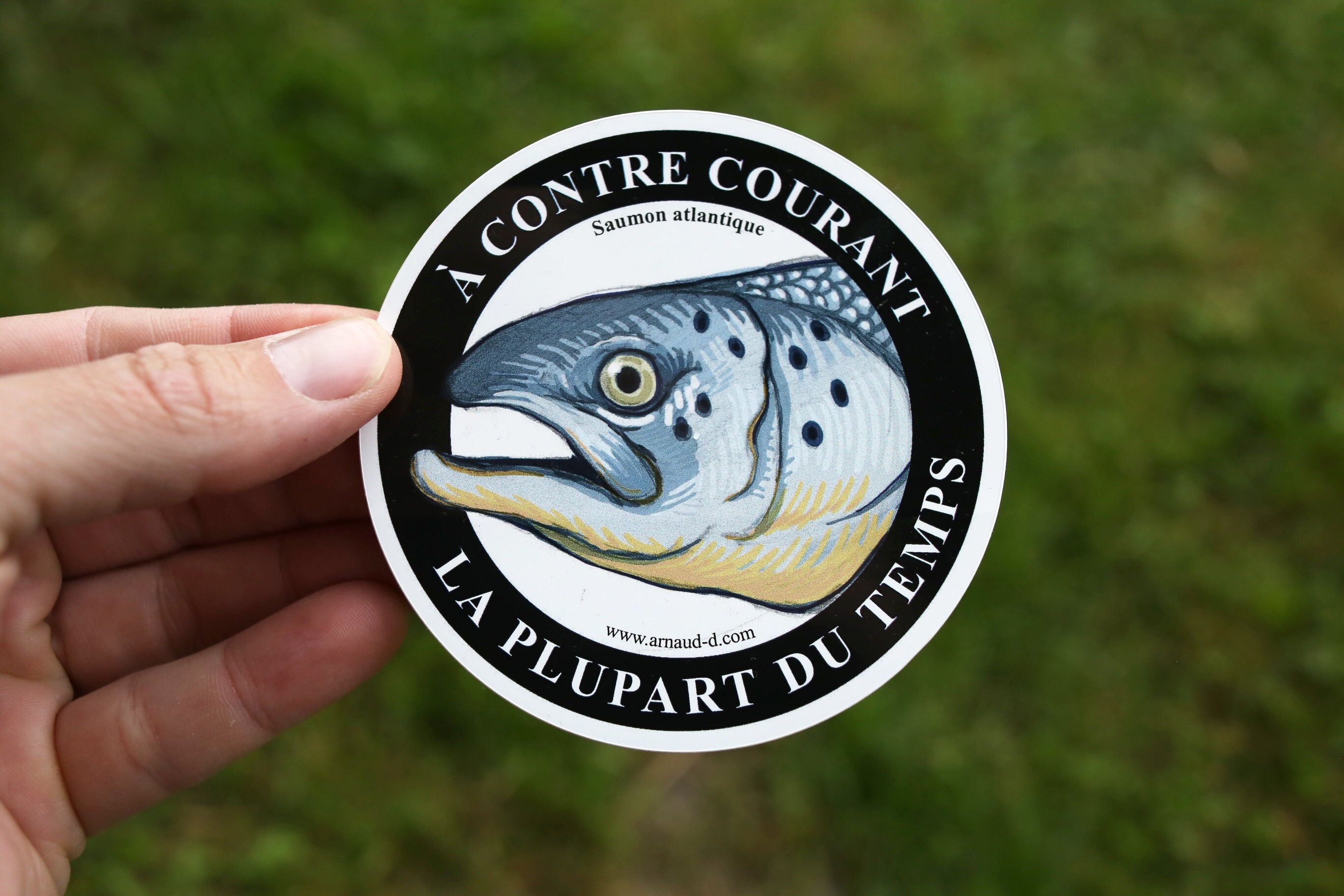 Sticker Rebel Salmon Sticker Against the Tide - Etsy