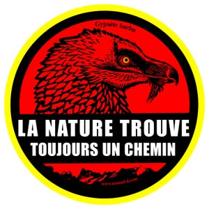 Sticker Gypaète, un vautour motivé par la survie