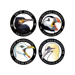 Lot de 4 stickers Langue bretonnes Starter Pack insultes vernaculaires oiseaux du littoral