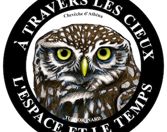 Sticker Chevêche d'Athéna