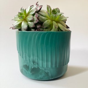 May include: A green ceramic planter with a textured, wavy design. The planter is filled with a succulent plant with green leaves.