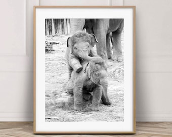 Digital download of Baby elephants playing, Wildlife photography print, Elephant printable nursery room wall art, Playroom pictures