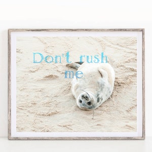 May include: A seal lying on its back on a sandy beach with the text "Don't rush me" written in blue above it.