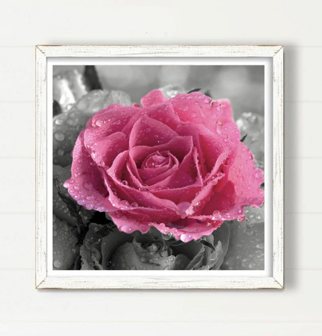 Pink Rose Printable Wall Art Photography, Floral Digital Download ...