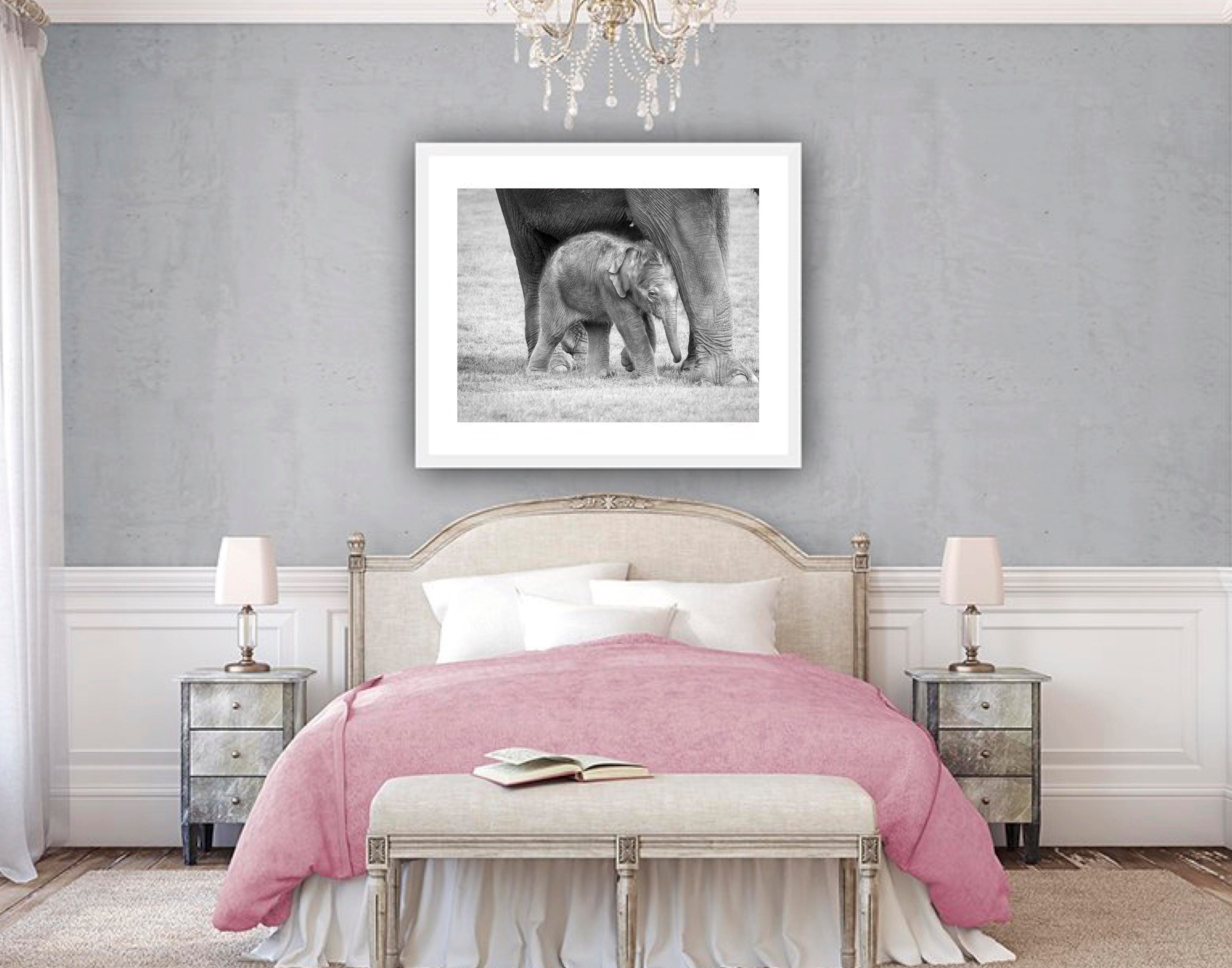 Baby Elephant Digital Download, Animal Wall Art, Printable Decor ...