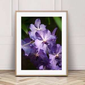 Purple orchid floral digital download, Flower photography print, Printable floral photo , Airbnb wall decor, Instant download Boho wall art