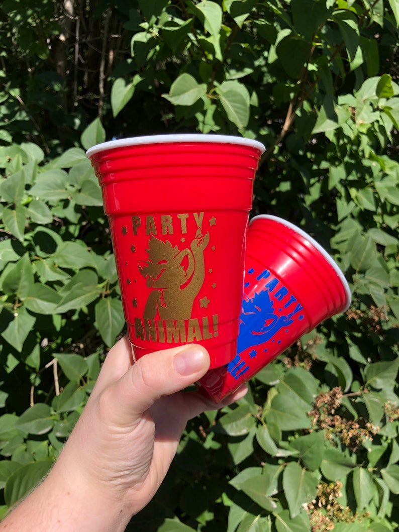 reusable solo cups
