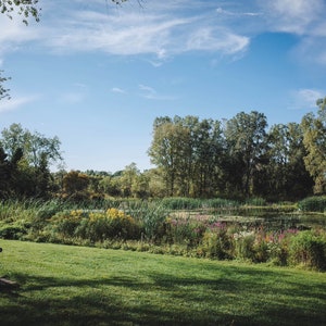 Matthaei Botanical Gardens, Landscape Print - Nature Print, Travel Photography, Ann Arbor Print, Wall Art Decor, Wilderness Photo