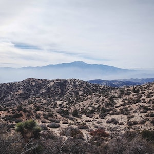 Joshua Tree Panorama Loop -Landscape Photography, Palm Springs, Travel Photography, Yucca Valley, Desert Print, Wall Decor, California Photo
