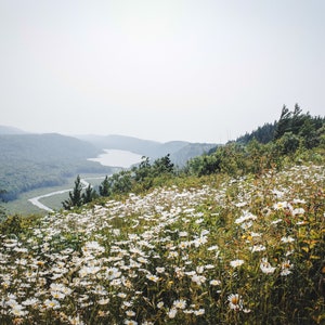 Lake of the Clouds Porcupine Mountains - Travel Photography, Wall Art Decor, Landscape Photography, Wilderness Photo, National Park Print