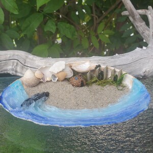 Clam Shell Island With Jetty