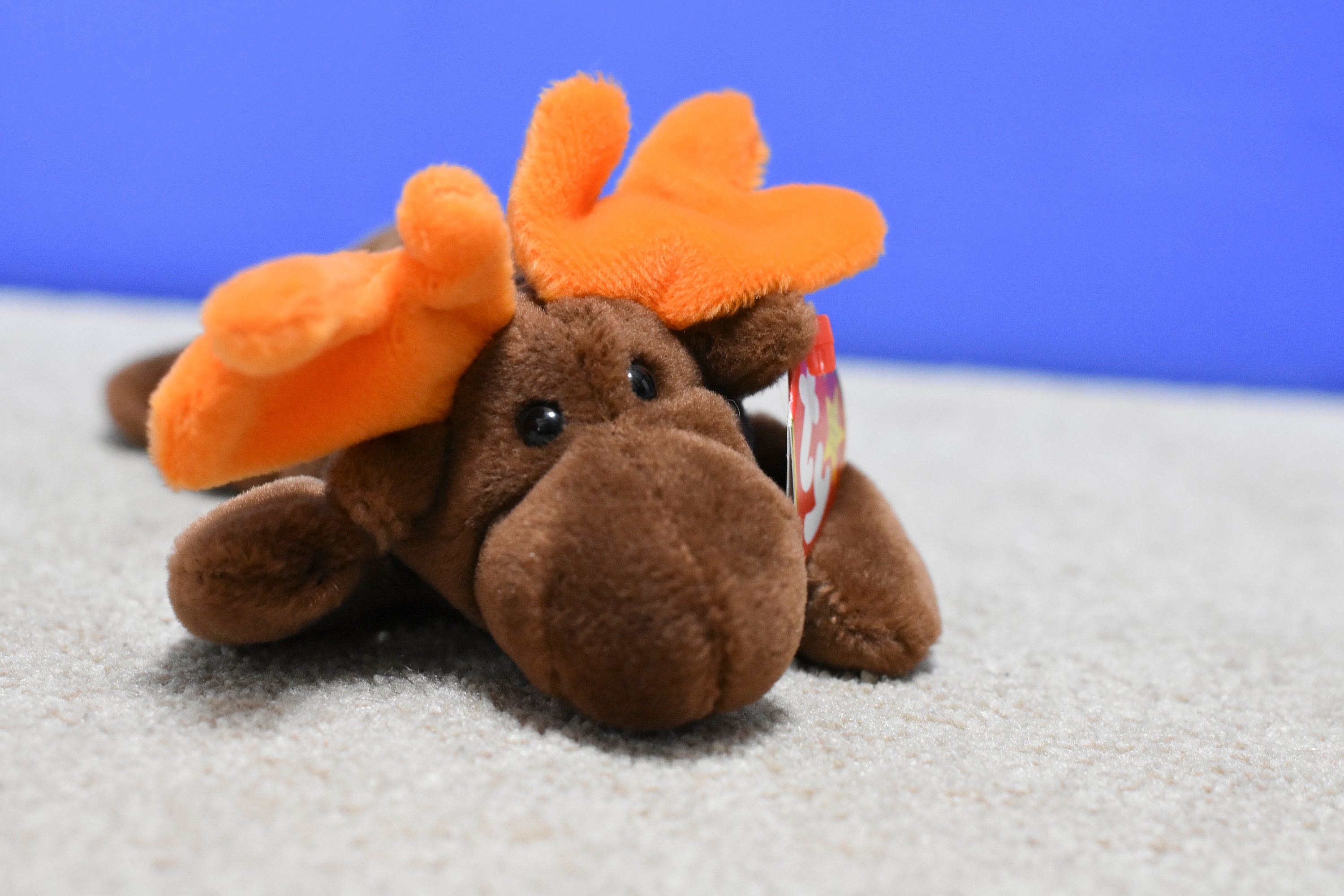 Mint Chocolate-moose Ty Beanie Baby Rare Original 1993 - Etsy