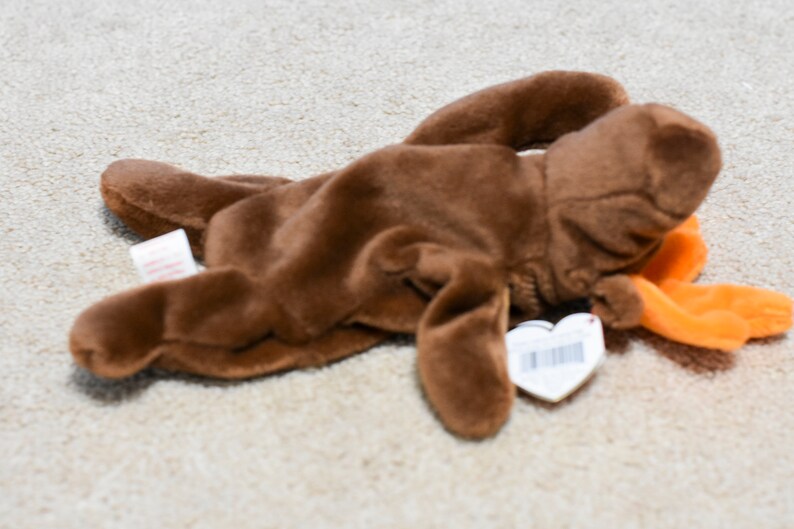 Mint Chocolate-moose Ty Beanie Baby Rare Original 1993 - Etsy