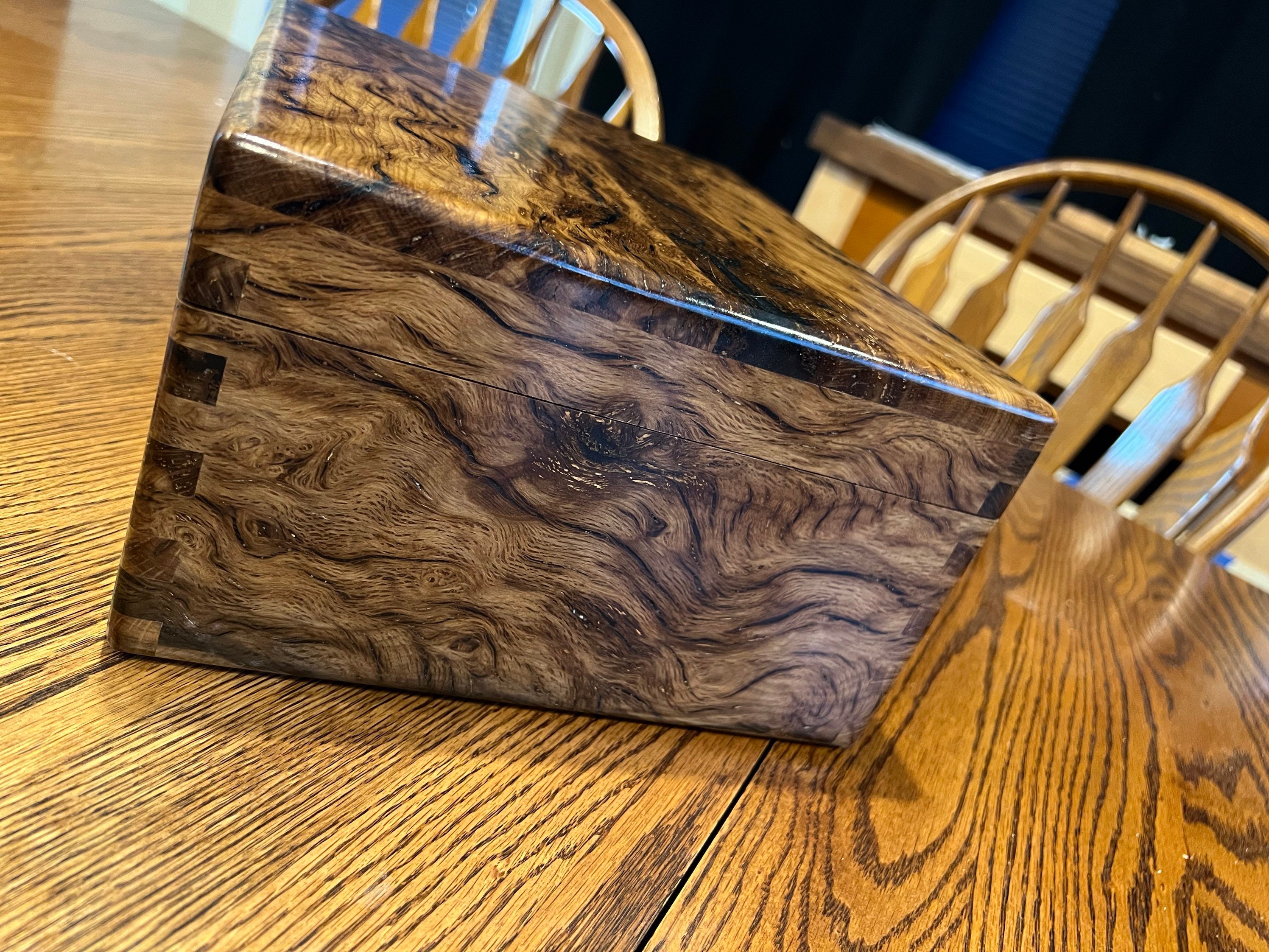 Humidor Texas Live Oak Etsy