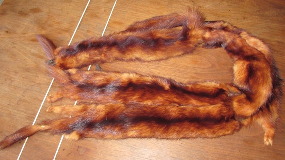 Vintage 1940&rsquo;s Mink Stole. Lovely color. Clip Mouth a… - Gem