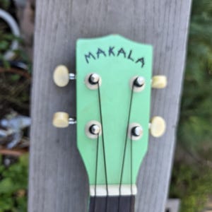 May include: Close-up of a ukulele headstock. The headstock is light green with the word "MAKALA" in black script. It has four tuning pegs with cream-coloured knobs and black strings. The fretboard is dark brown.
