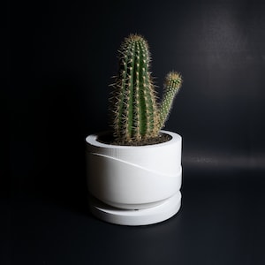 Concrete Planter | Planter | Medium Planter | Cylinder Planter | Plant Pot | Indoor Planter | Modern Planter