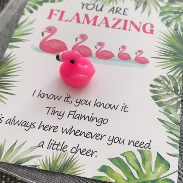 Mini Flamingo Pocket Hug!