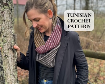 PATTERN, Cordillera Infinity Scarf, Tunisian Crochet Pattern, Infinity Scarf, DK weight yarn, Brioche like, Advanced Beginner, knit like