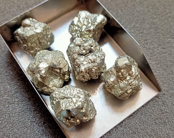 May include: Six small, rough, gold-colored pyrite crystals in a metal tray. The crystals have a metallic sheen and are irregularly shaped.