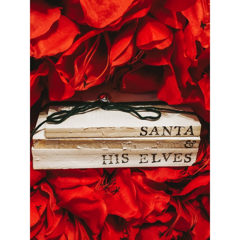 Santa /& His Elves