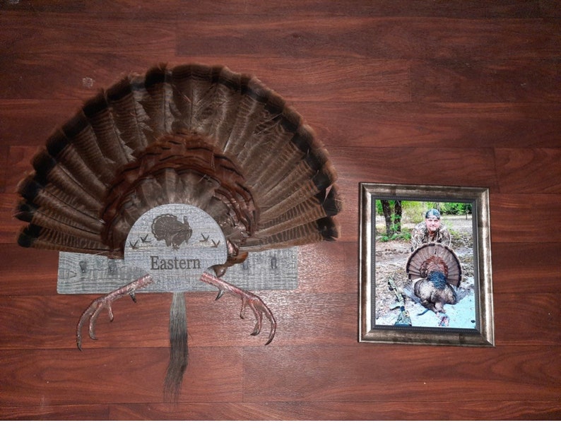 Turkey Fan Mount Multiple Beards. Etsy