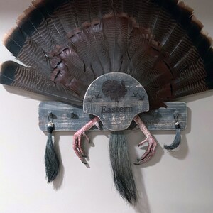 Turkey Fan Mount, multiple beards. image 4