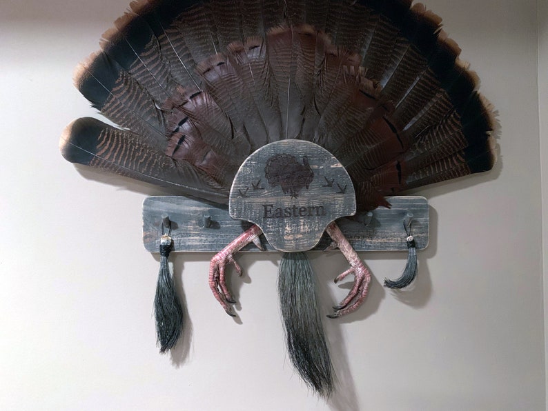 Turkey Fan Mount, Multiple Beards. Etsy