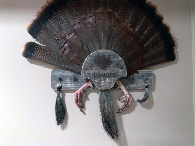 Turkey Fan Mount, multiple beards. image 4