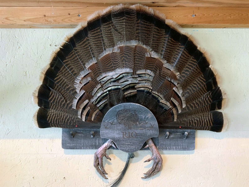 Turkey Fan Mount, Multiple Beards. Etsy