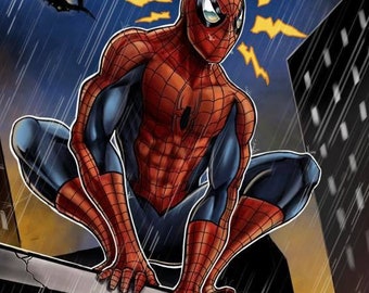 SPIDER-MAN origional artwork