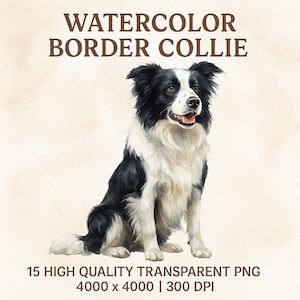 Border Collie PNG, lustiger Hund Clipart, digitaler Download, kommerzielle Nutzung, hochwertige PNG, süßer Hund Clipart, Border Collie Kunst, Hund PNG