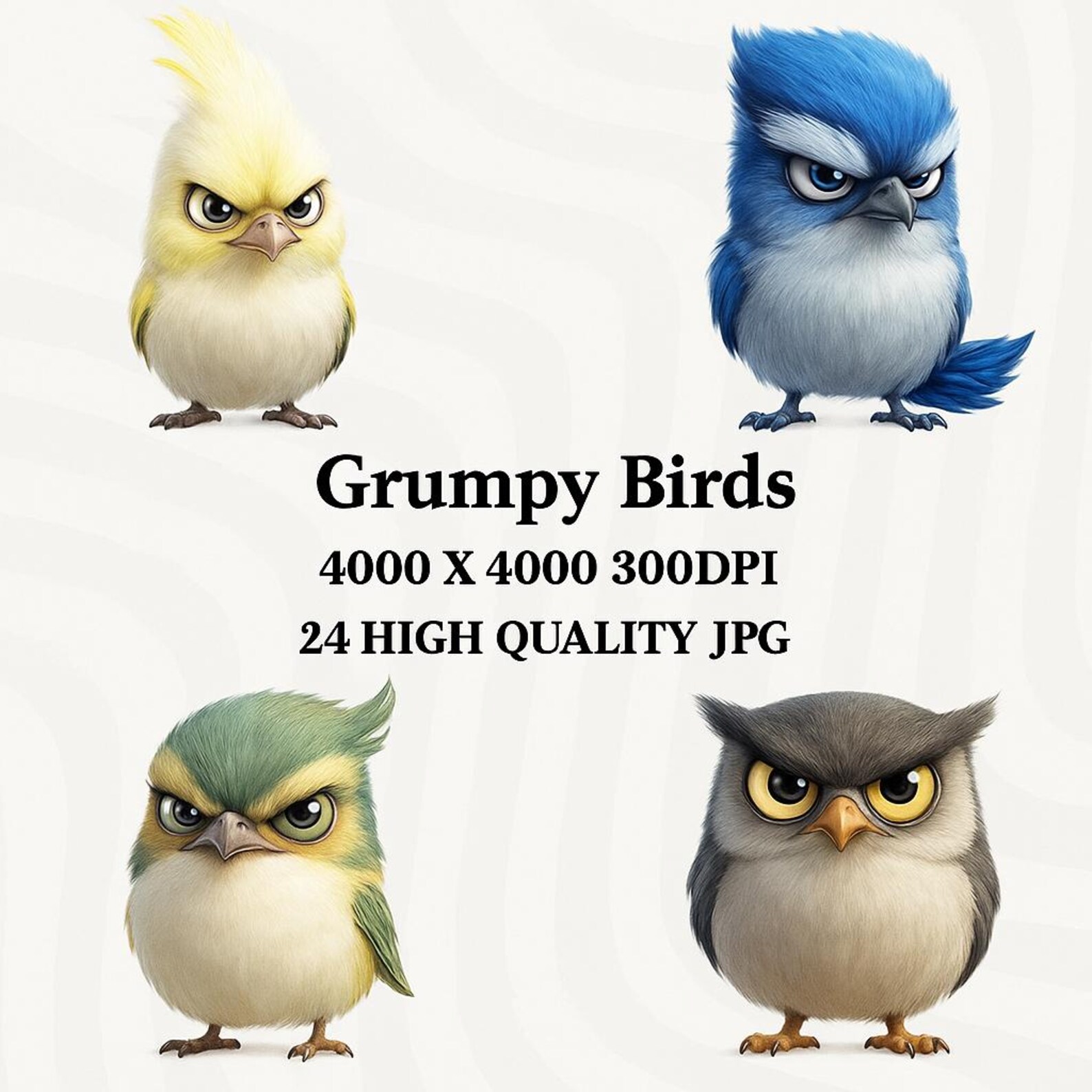 Grumpy Birds Clipart, Funny Grumpy Animals Clipart, Digital Download ...