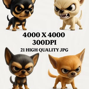 Chihuahua enojado (imágenes prediseñadas, JPG de alta calidad, uso comercial), perro adorable, descarga digital, descarga instantánea, chihuahua enojado