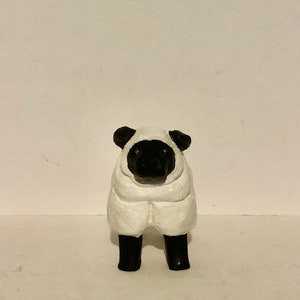 Small White and Black Sheep